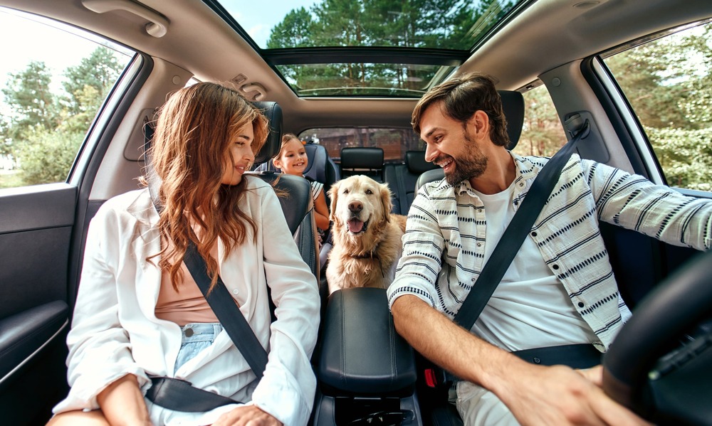Auto importeren